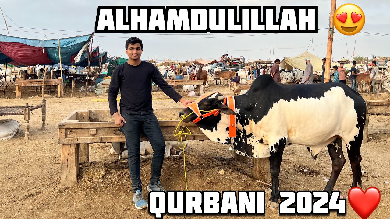 Qurbani ka janwar leliya Alhamdulillah❤️| Northern Bypass Mandi 2024