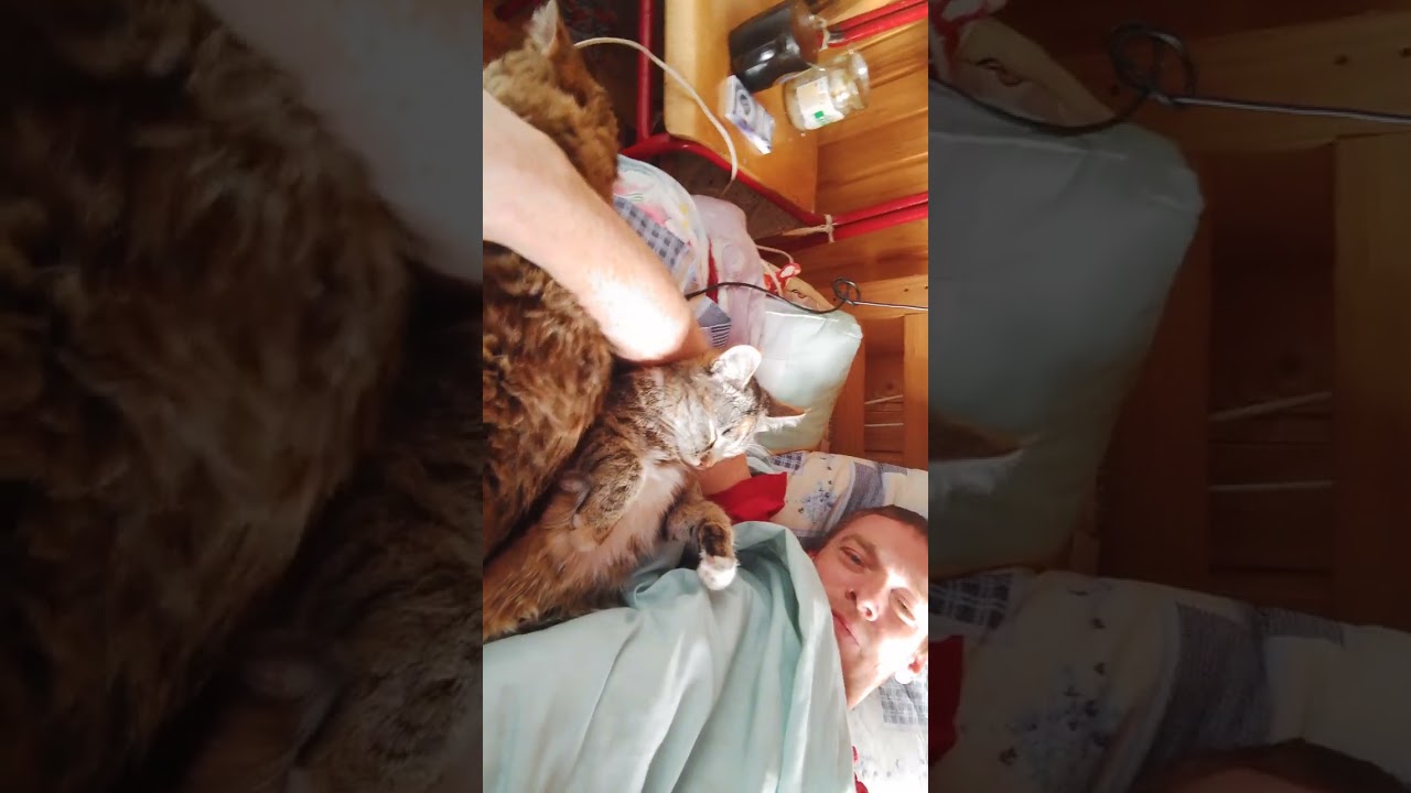 Замурчательное утро