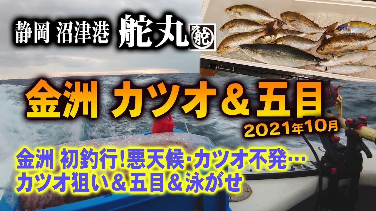 【金洲カツオ＆五目】金洲初釣行!カツオ＆五目＆泳がせ釣り！【沼津港 第一舵丸】