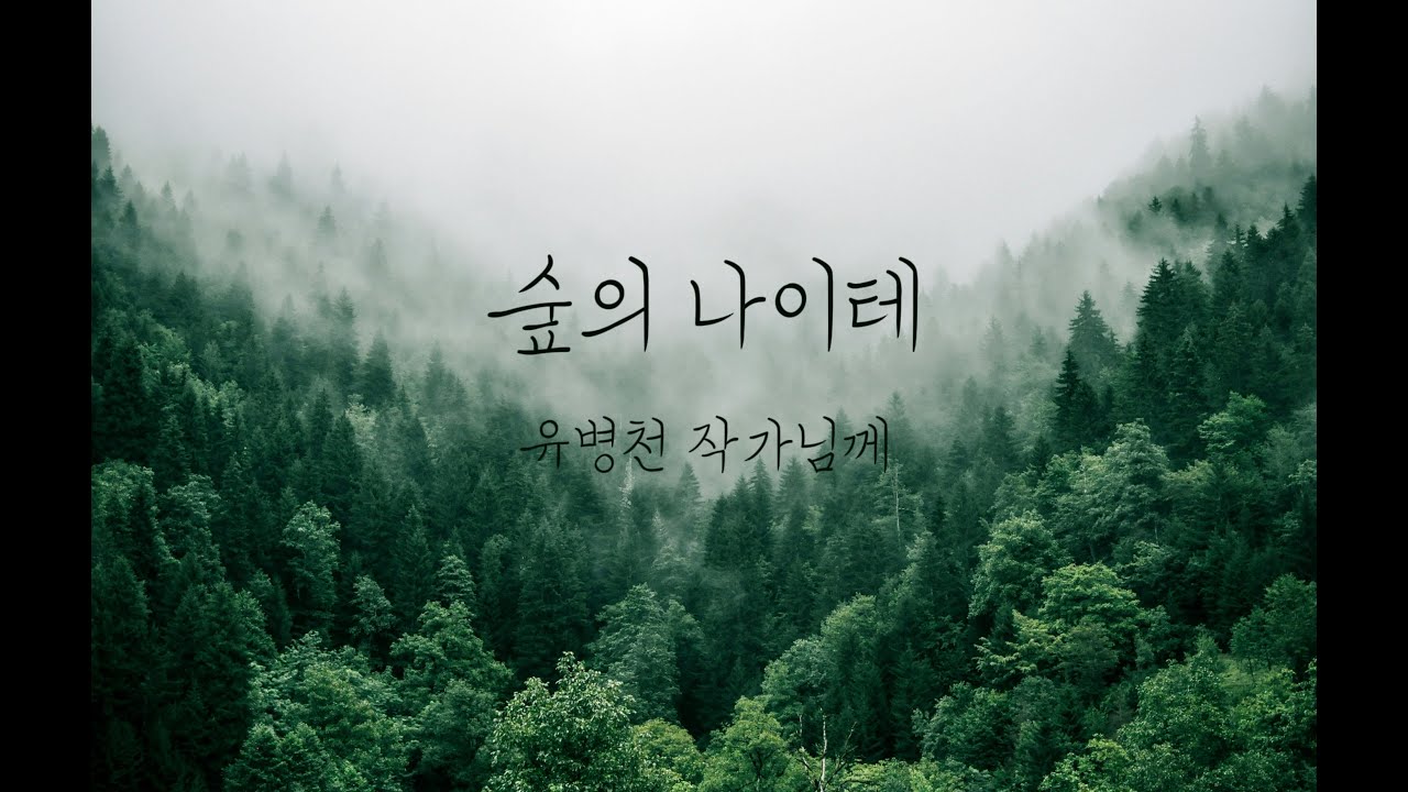 숲의 나이테