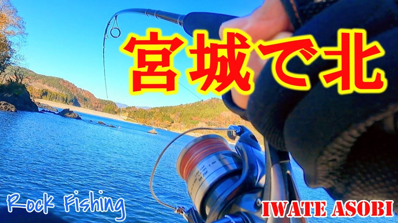 【海釣り】岩手の釣り下手くそが 宮城に単独遠征してみたら！？ 最後まで諦めないヤツが〜❗