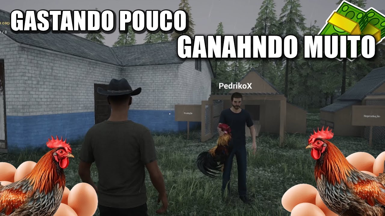 MELHOR JEITO DE CRIAR GALINHAS - Ranch Simulator