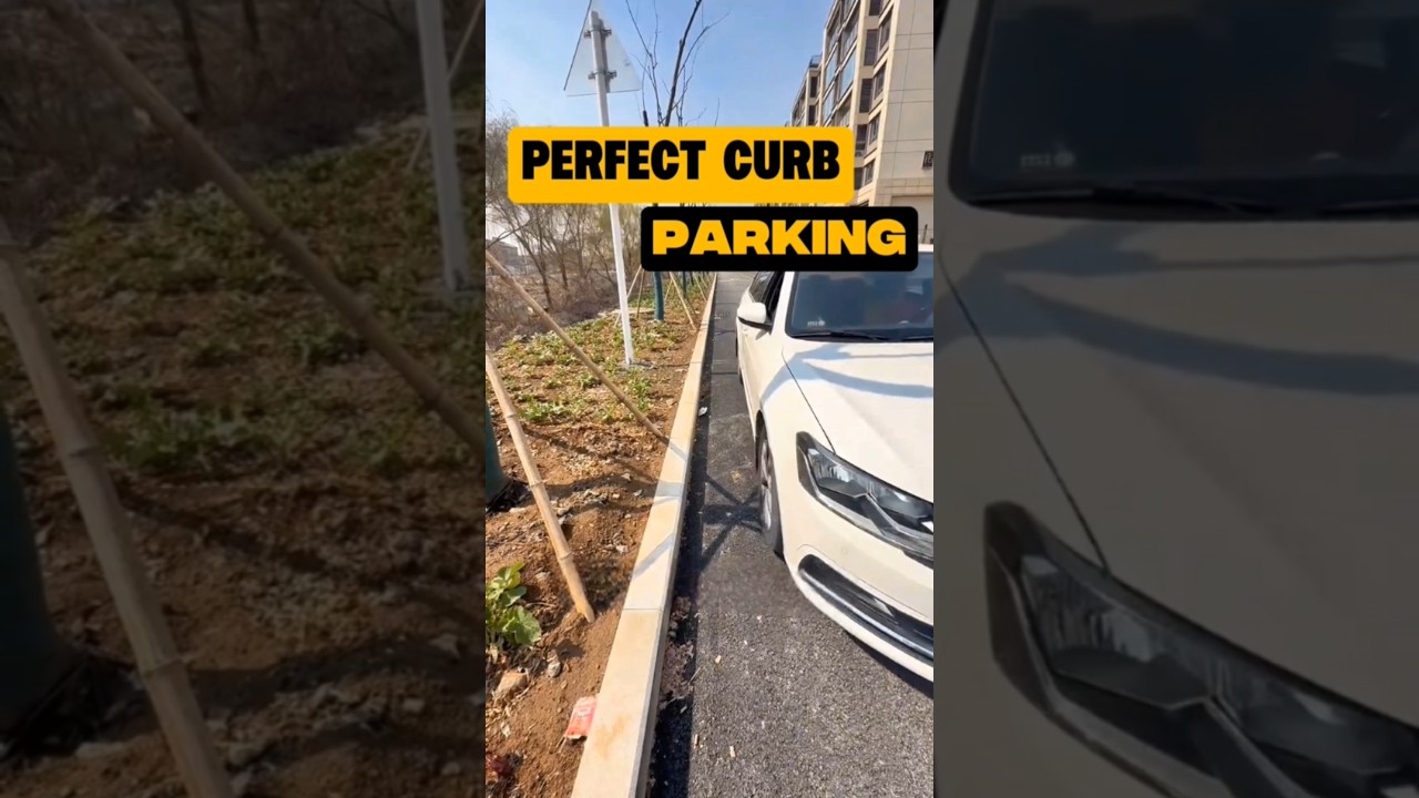 Smooth and Precise Street Parking Tips 