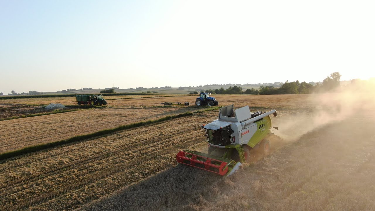 🇵🇱 Żniwa 2021 o Zachodzie Słońca ☆ GR Trzaska | Claas  | John Deere |