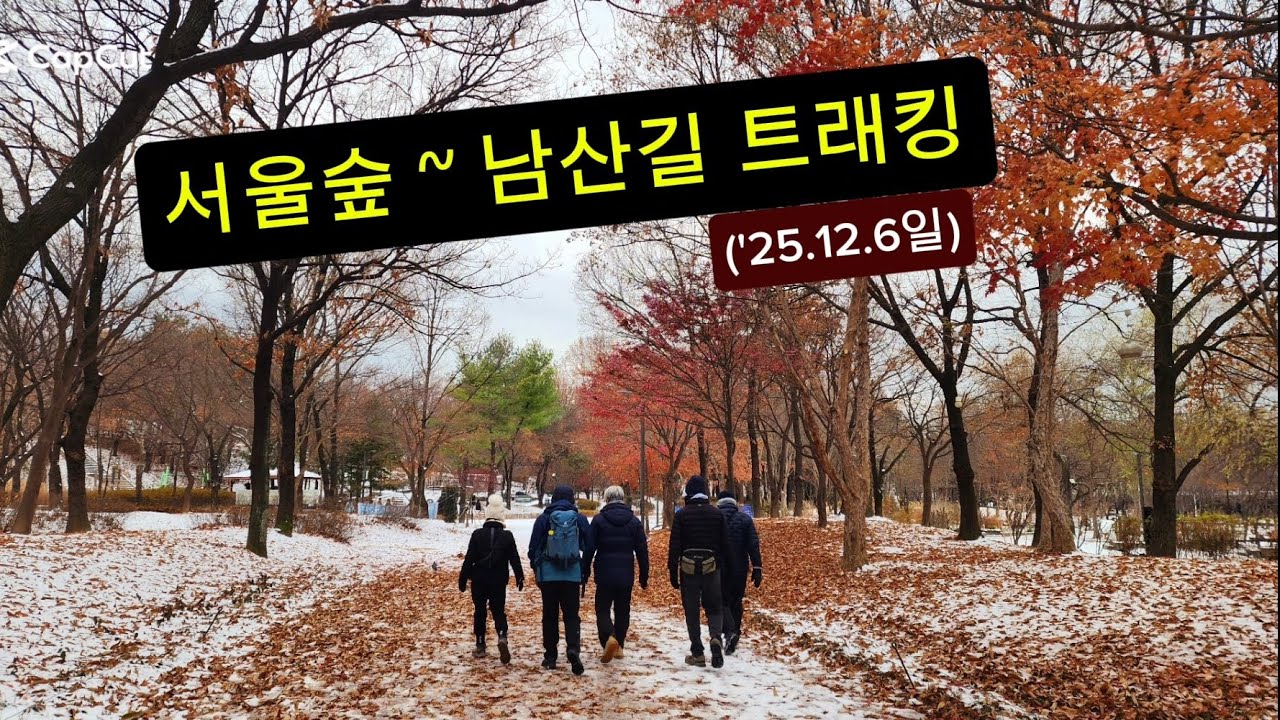 서울숲 ~ 남산길 트래킹 ('25.12.6일)