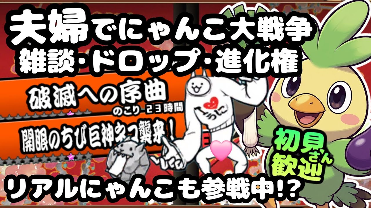 開眼のちび巨神ネコ襲来【初見さん大歓迎】夫婦実況+リアルにゃんこでまったりにゃんこ大戦争・雑談🐾ライブ配信#93 #にゃんこ大戦争 #縦型配信 #ライブ配信 #shorts #shorts #初見