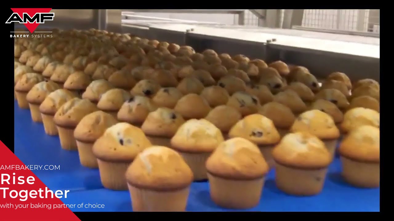 Cupcake and Muffin Factory Production - High Speed, High Quality Systems