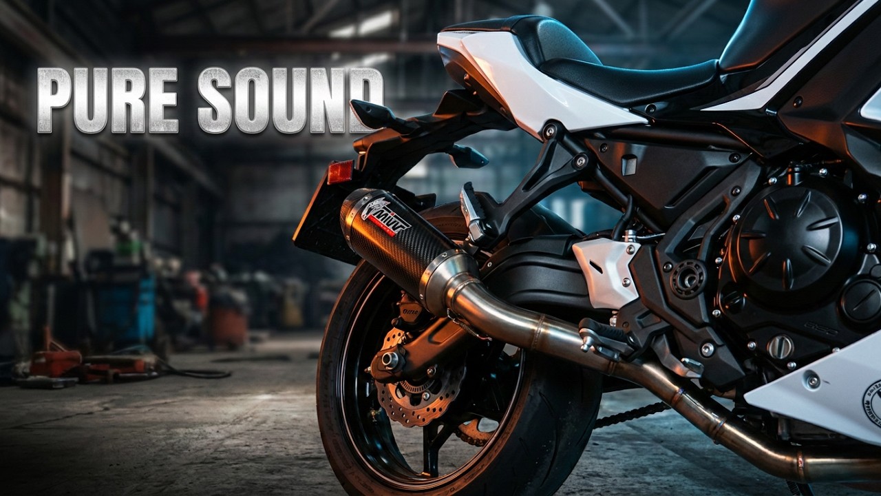 Mivv GP Pro kawasaki ninja 650 Cold start exhaust sound