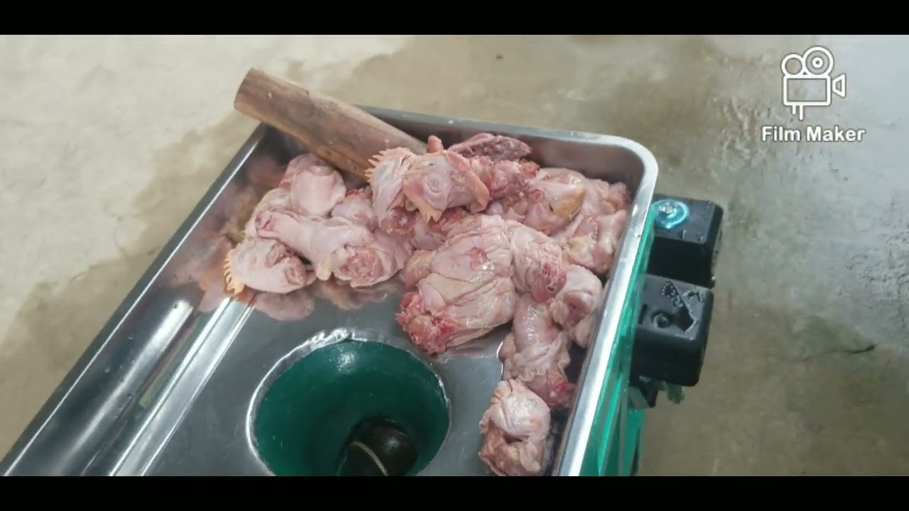 Mencoba Menggiling Kepala Ayam Dan Leher Dengan Mesin Baru,Hasilnya WOOOW Mengejutkan...