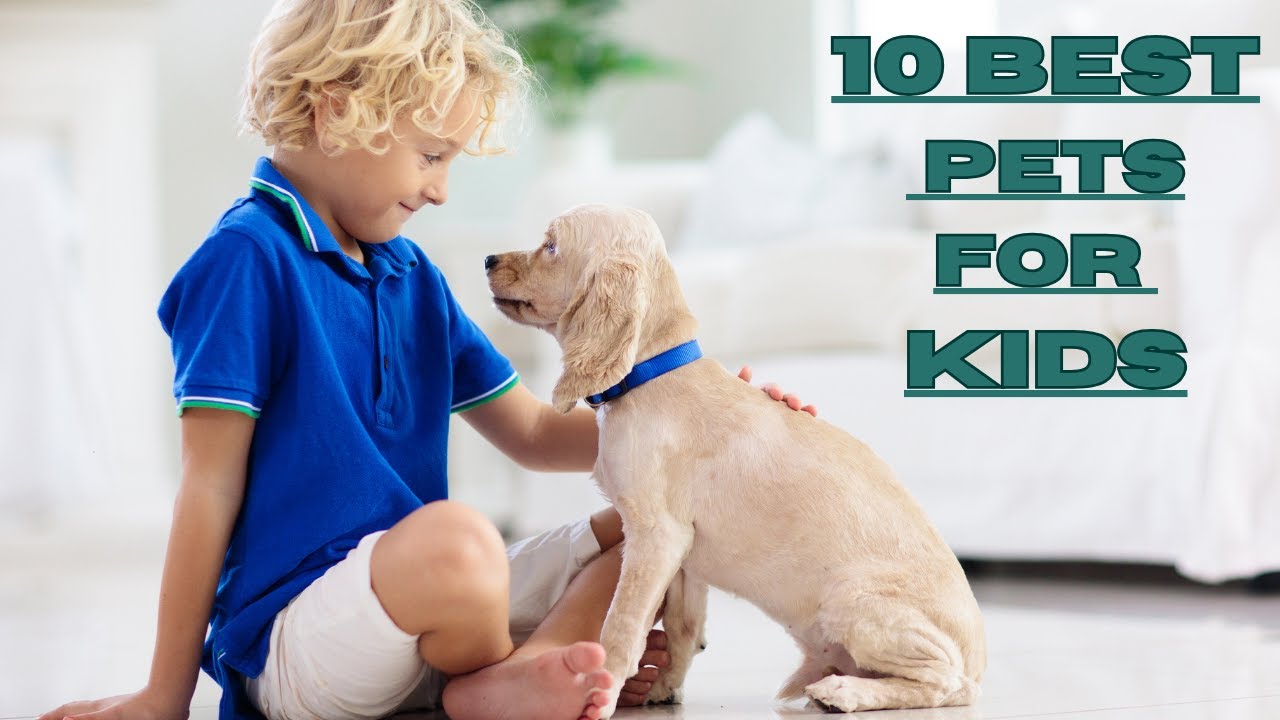 Best Starter Pets for Kids |Top 10 Guide