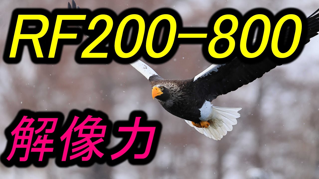 RF200-800mm F6.3-9 IS USM　解像力