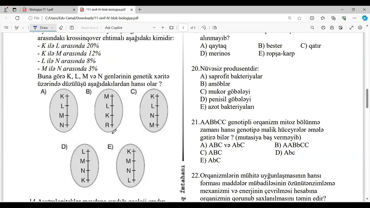 Kaspi Sınaq imtahanı 2