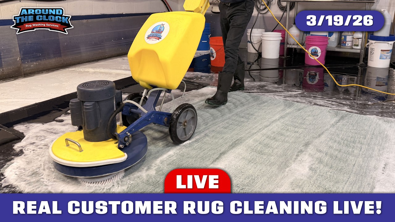 LIVE Rug Cleaning! #cleanwithme #rugwashing