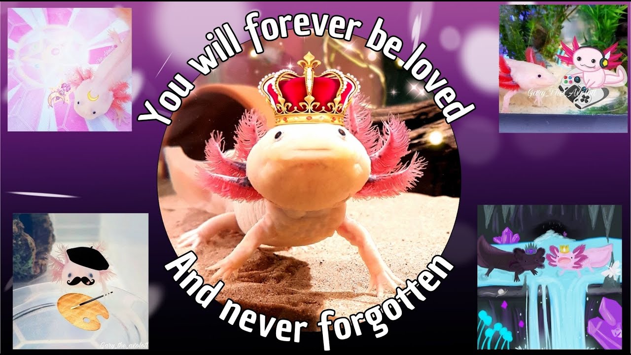 Forever in Our Hearts, King Gary