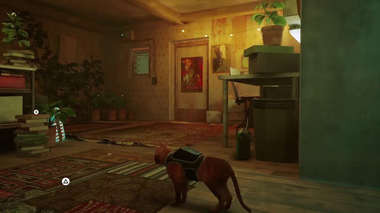 【ねこです。】Stray【よろしくおねがいします。】