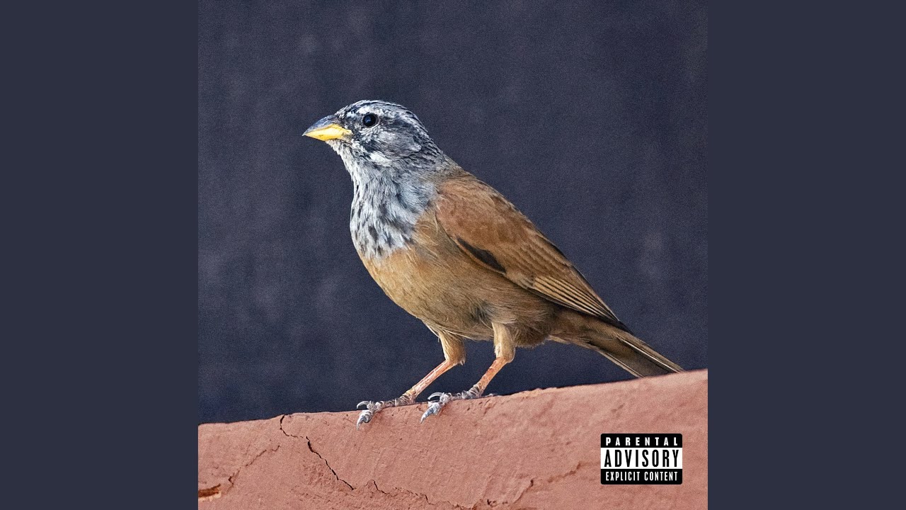 Ftri9 Dar (Freestyle)