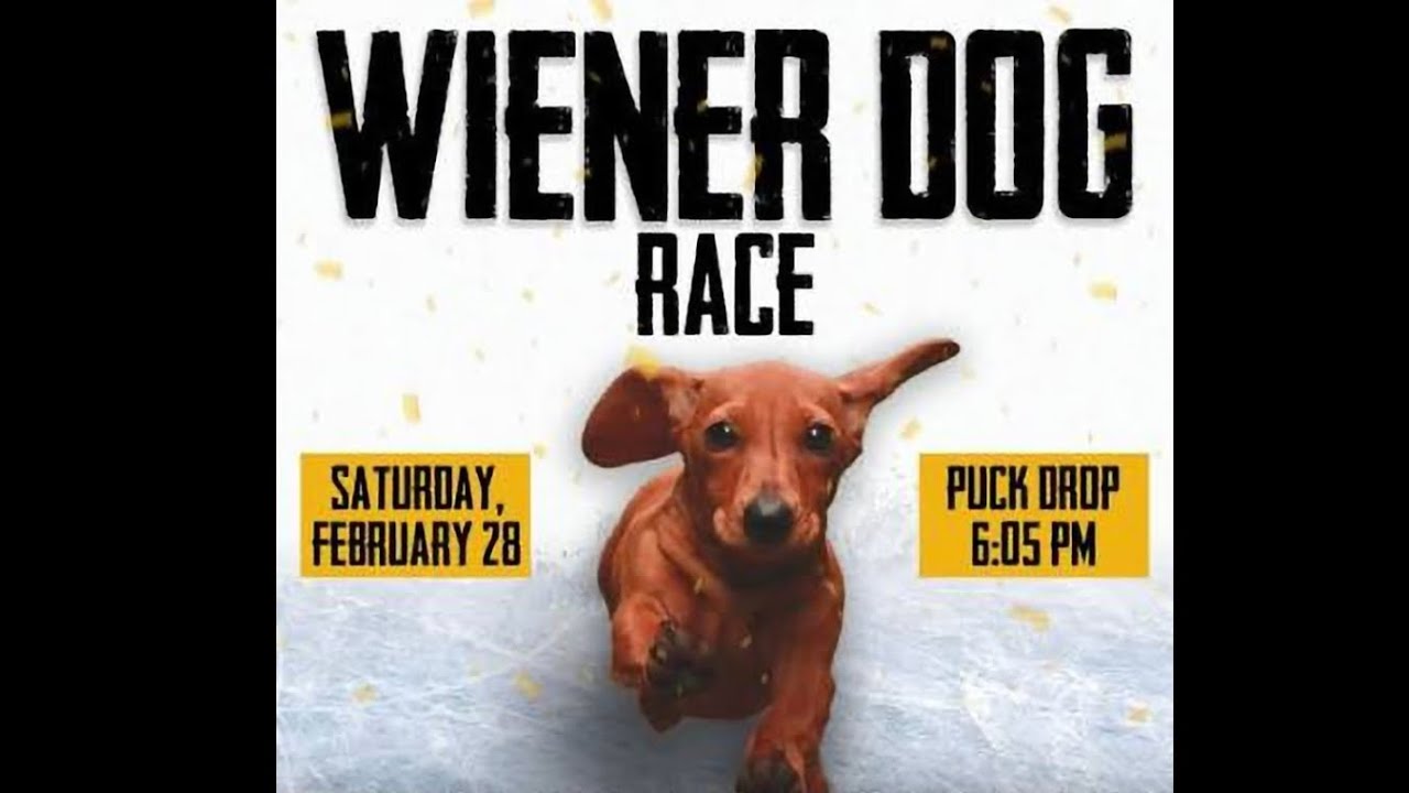 Green Bay Gamblers - Weiner Dog Race - 2/28/26