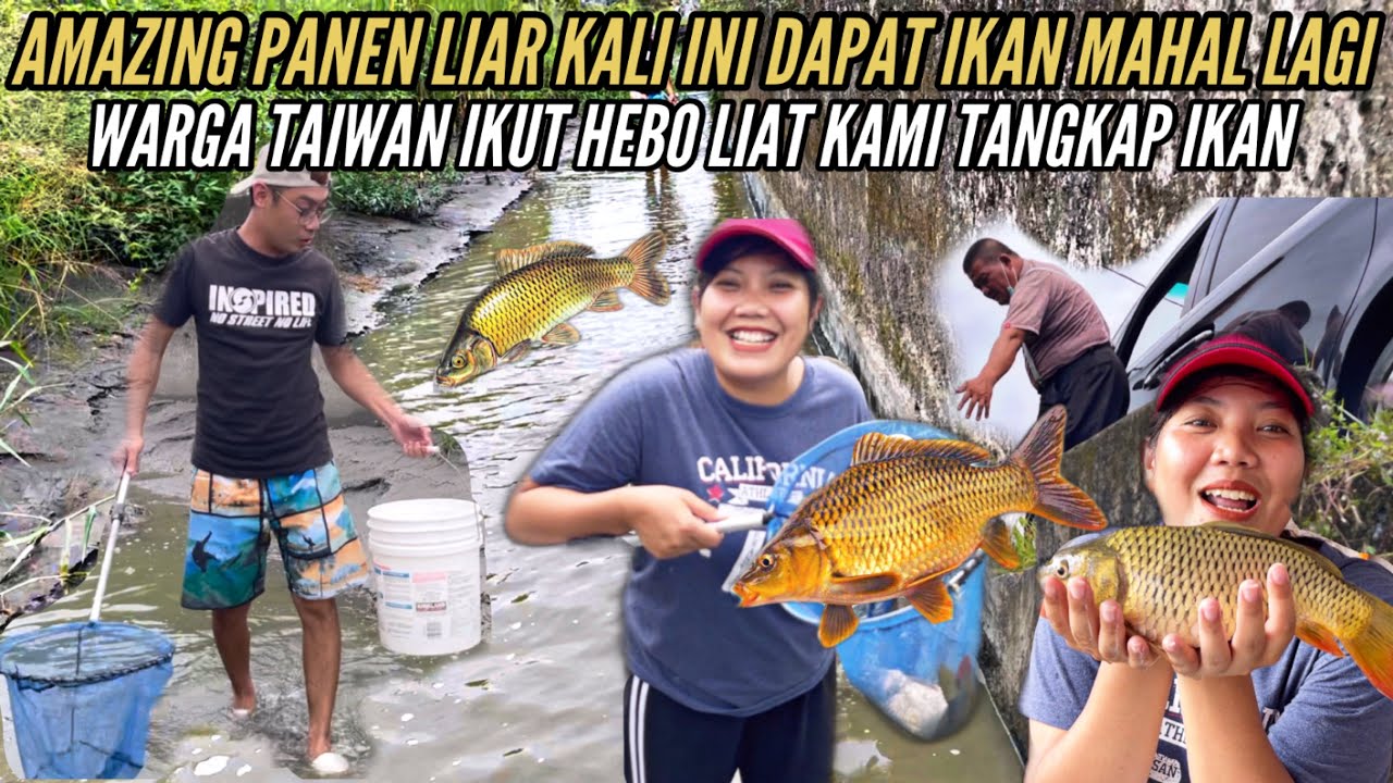 AMAZING PANEN IKAN LIAR DAPAT IKAN MAHAL WARGA TAIWAN IKUT HEBOH LIAT KAMI CARI IKAN