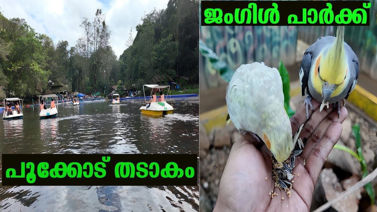 Pookode Lake -Jungle Park-Honey Museum | Top places to visit in Wayanad