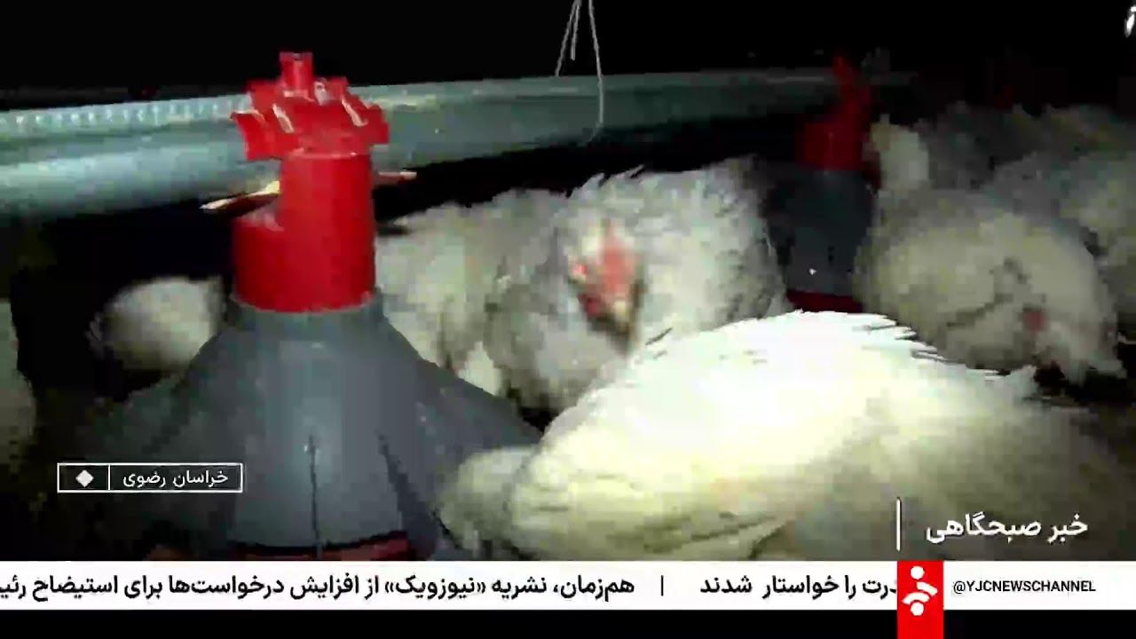 خبر 8 صبح - چهارشنبه 1 بهمن 1404