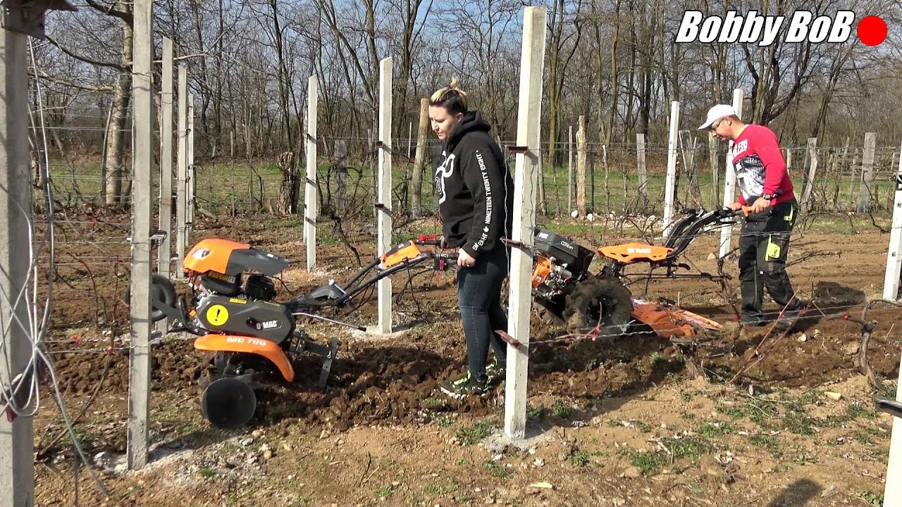 Motocultor O'Mac MC700 + MV15000, am lucrat o vie cu Ramona