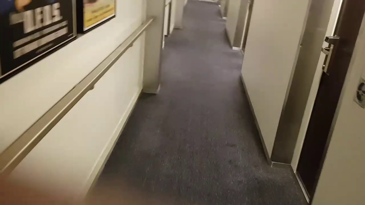 DFDS ferry - double room with sea view Amsterdam-Newcastle