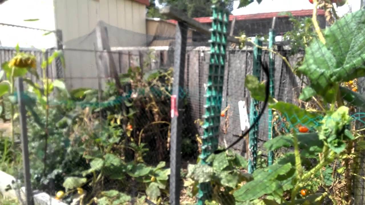 Red Whyte - Weaving Nets To Catch The Wind