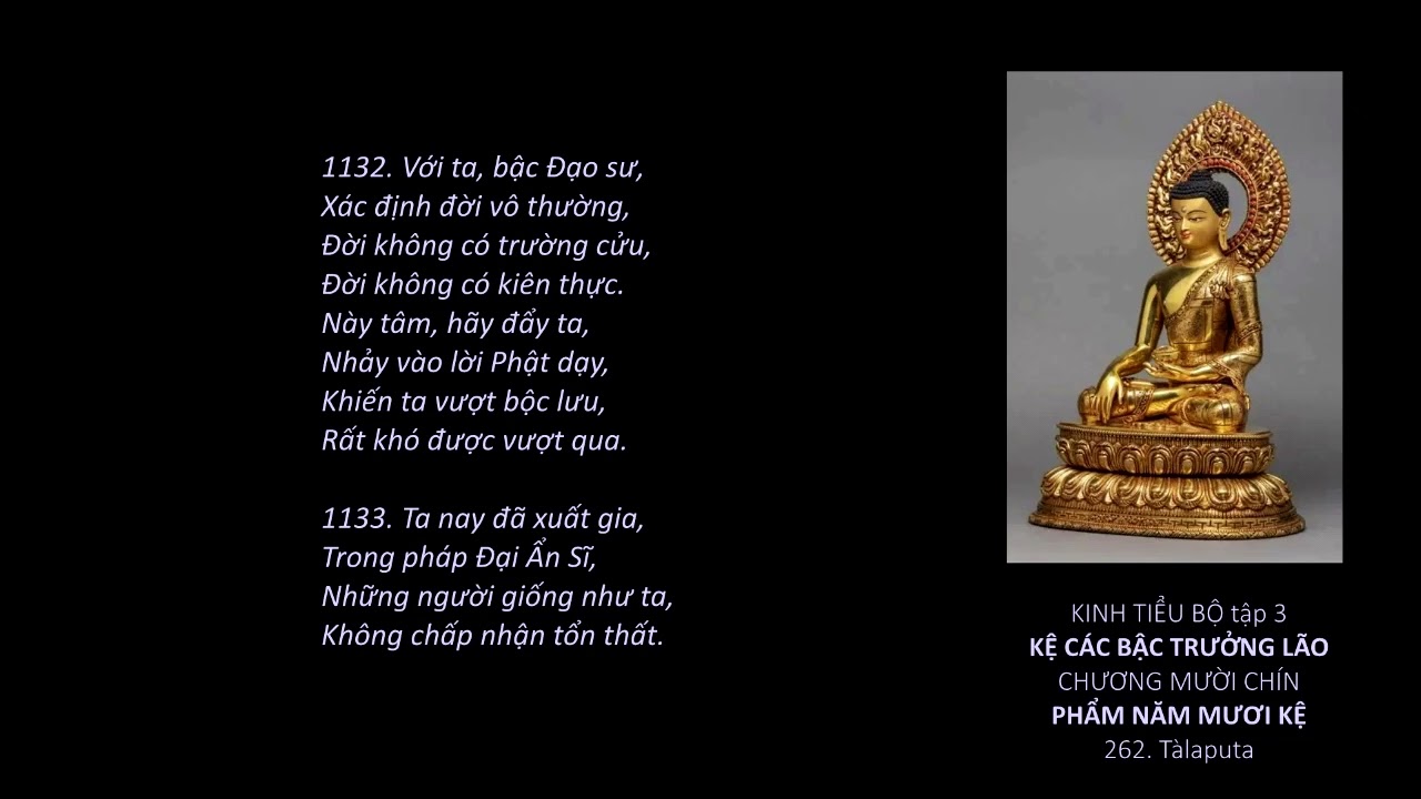 Video Books Kinh Tiểu Bộ (HT. Thích Minh Châu dịch)_[73]_(T.3, Kệ Các Bậc Trưởng Lão, Ch.19,20)