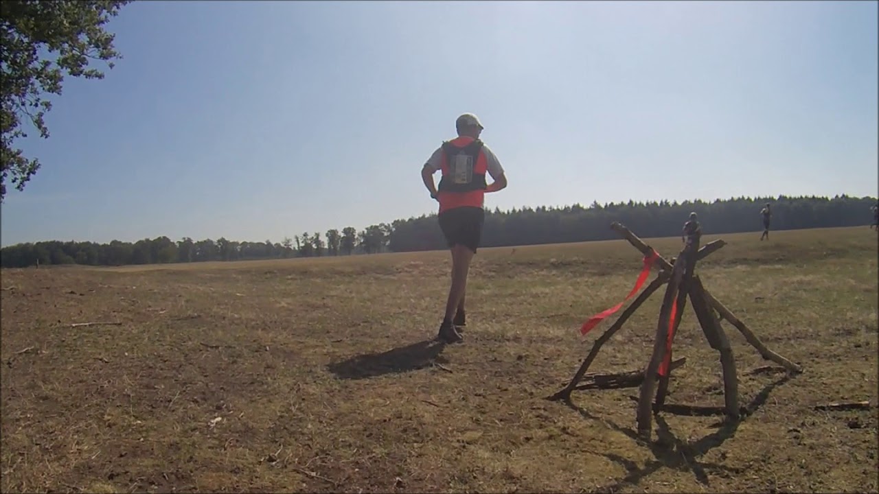 Trail RunForestRun Hondsrug Exloo 2019