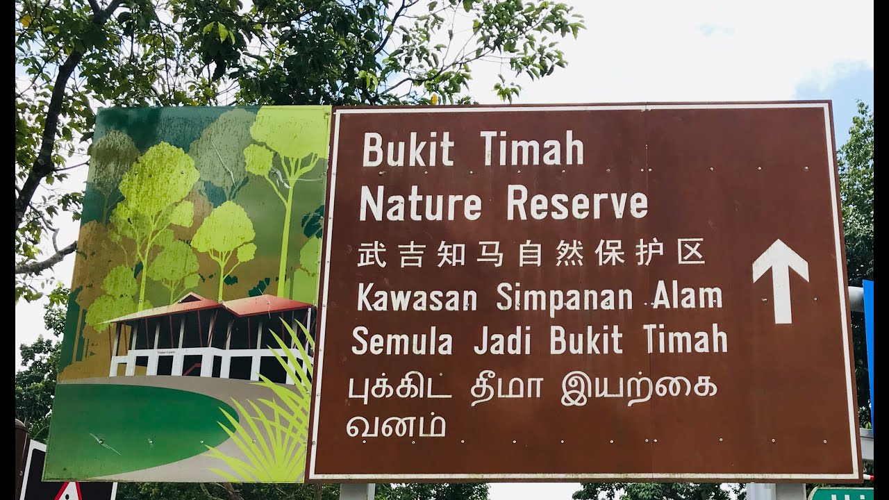 Bukit Timah Nature Reserve Visit 2020 / Beautiful Singapore / Indian Expat in Singapore