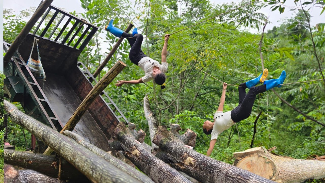 The girl who transports wood and her amazing skills #truck#farm#agricultural#wood#farming 