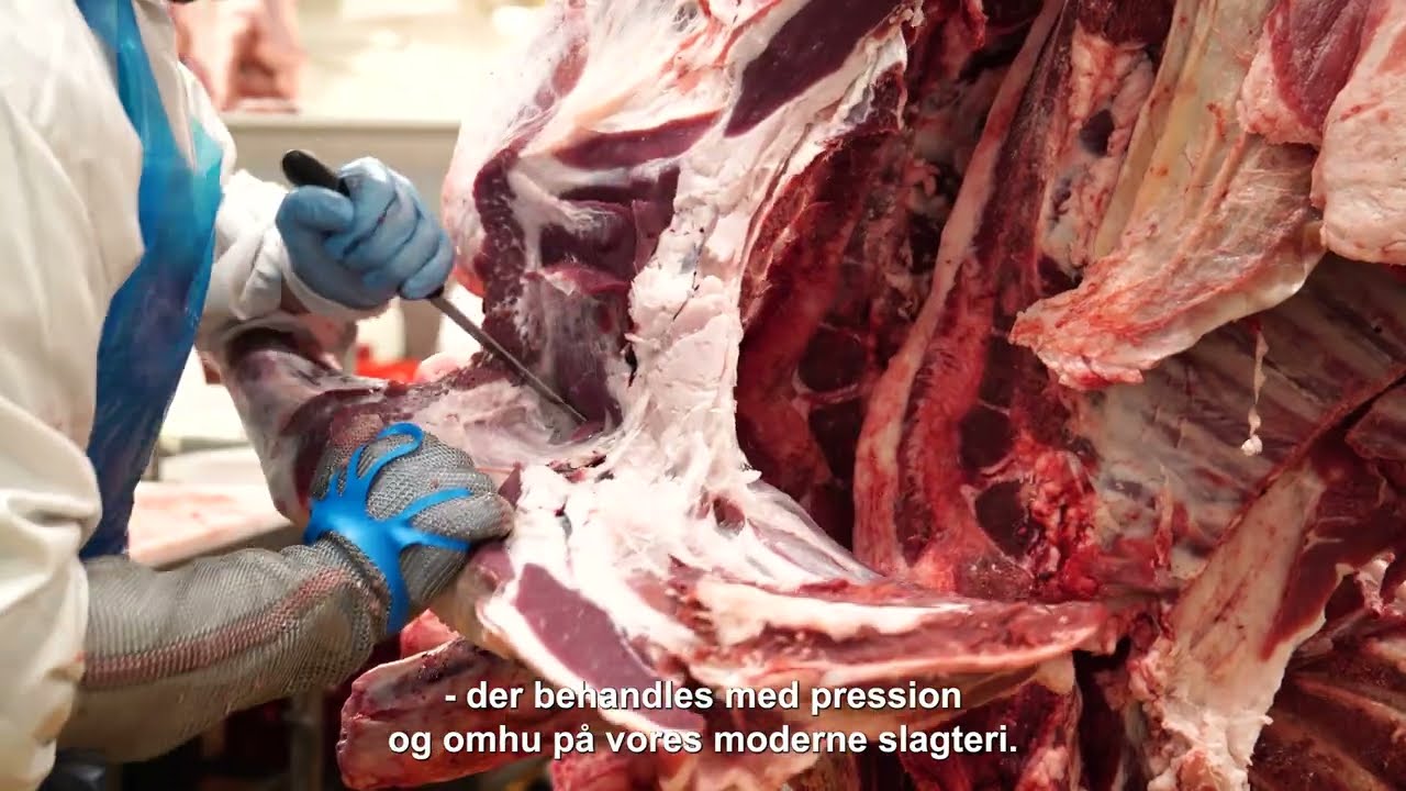 MB FOOD - Meat Production - Danish