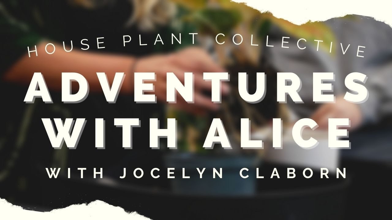House Plant Collective | Adventures With Alice Ep. 1