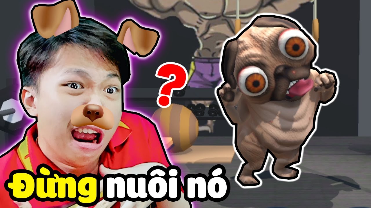 Chó 