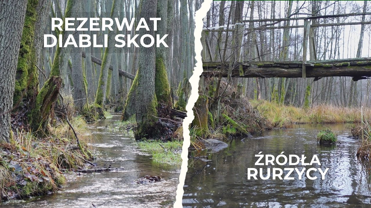 Sam w rezerwacie Diabli Skok – spływ Rurzycą i jeziorami w absolutnej ciszy