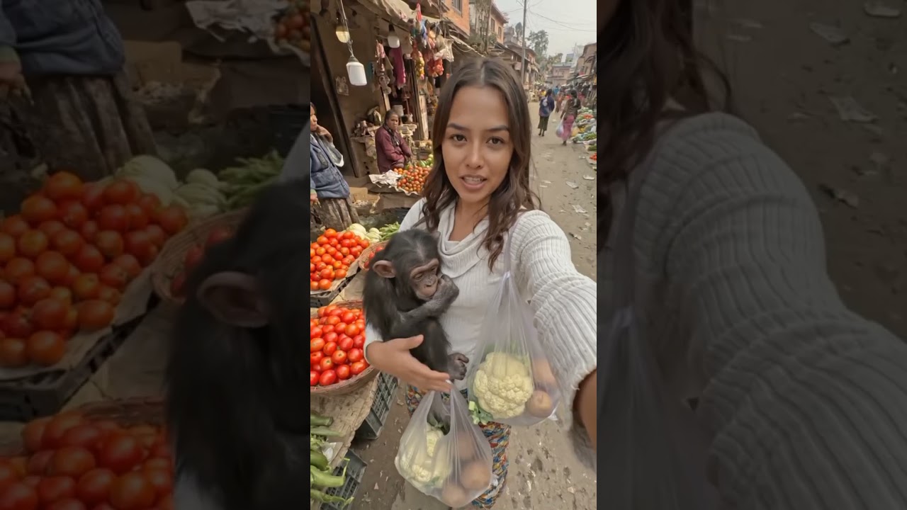 बाजारमा सब्जी किन्न जाँदै चिम्पा सँगै! 🥬🐒#Chimpaa #NepaliVillage #BabyChimp #VillageMarket