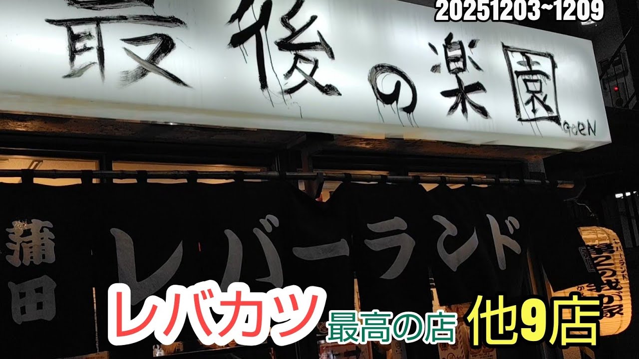 川崎暮らしオヤジの外食の日々　レバーランド　他9店【飯テロ】