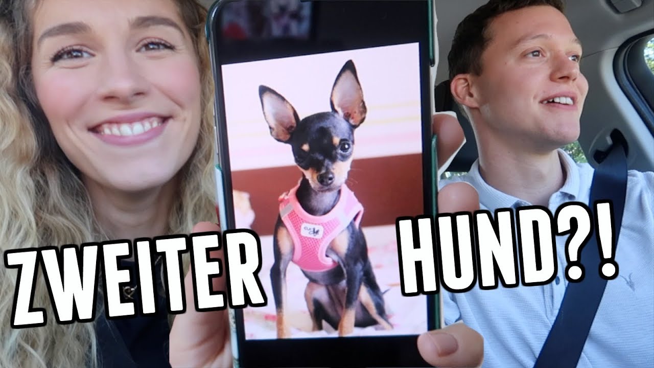 Das ist Minni: Sollen wir sie adoptieren? - Vlog 141