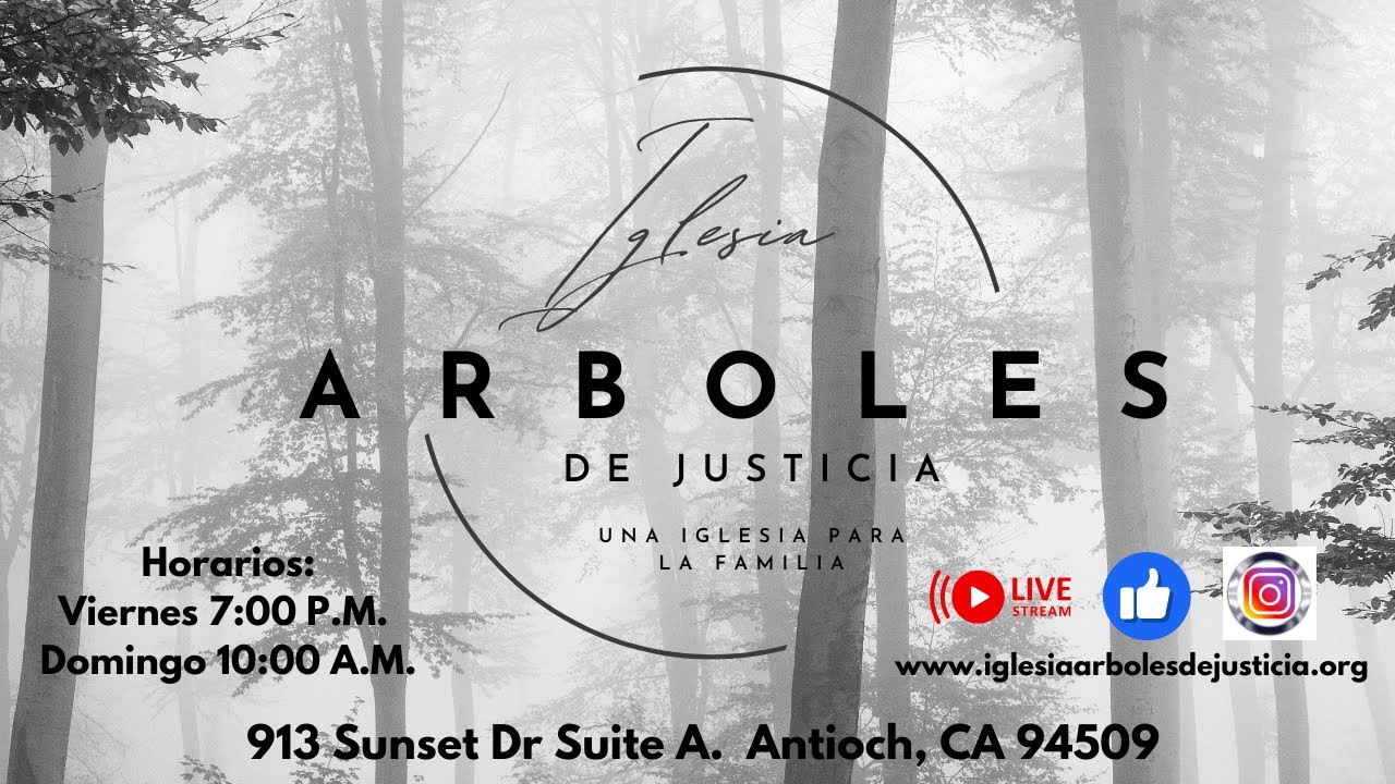 Servicio de  02/27/2026