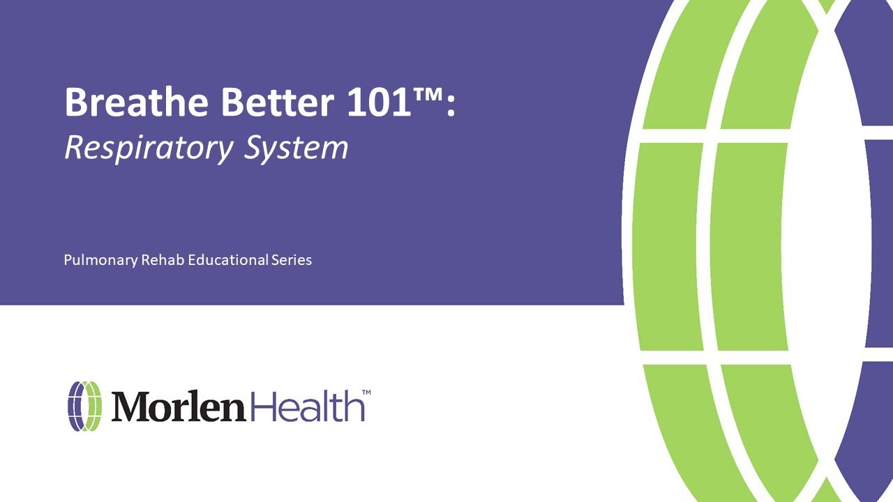 Breathe Better 101: The Respiratory System