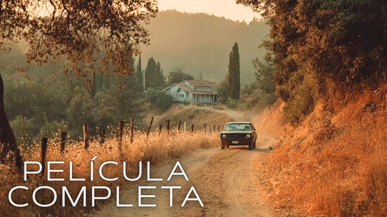 Película que atrapa desde el primer segundo🎬Ella robó otra identidad y con engaños entró en su hogar