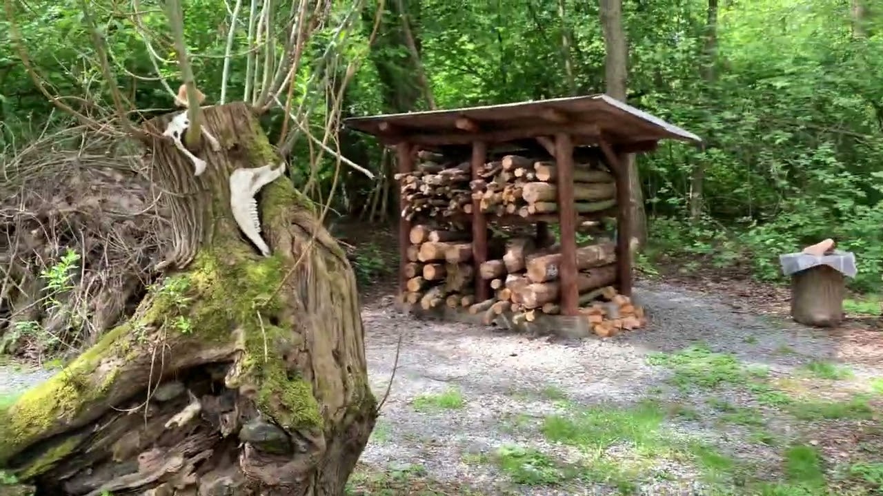 Lesní tábořiště sezona 2024