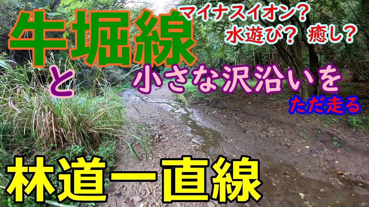 【林道一直線】　千葉　林道　牛堀線