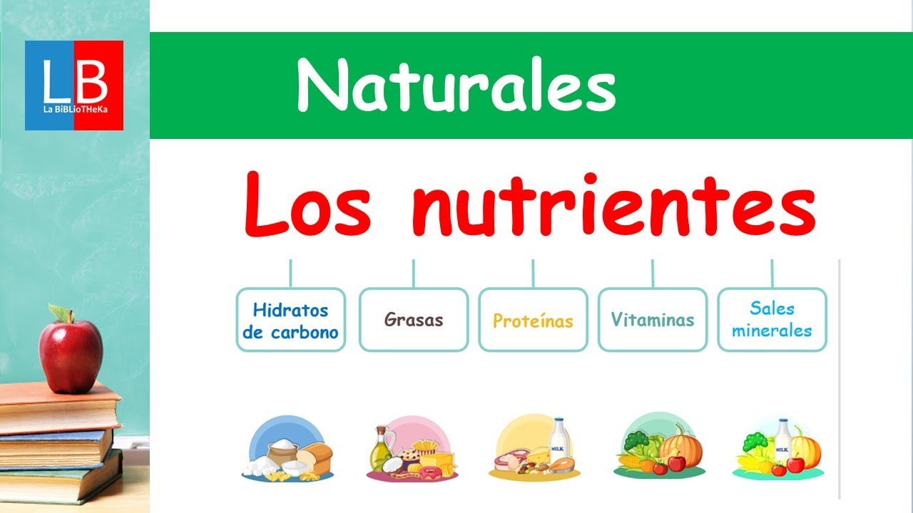 Los NUTRIENTES para niños ✔👩‍🏫 PRIMARIA