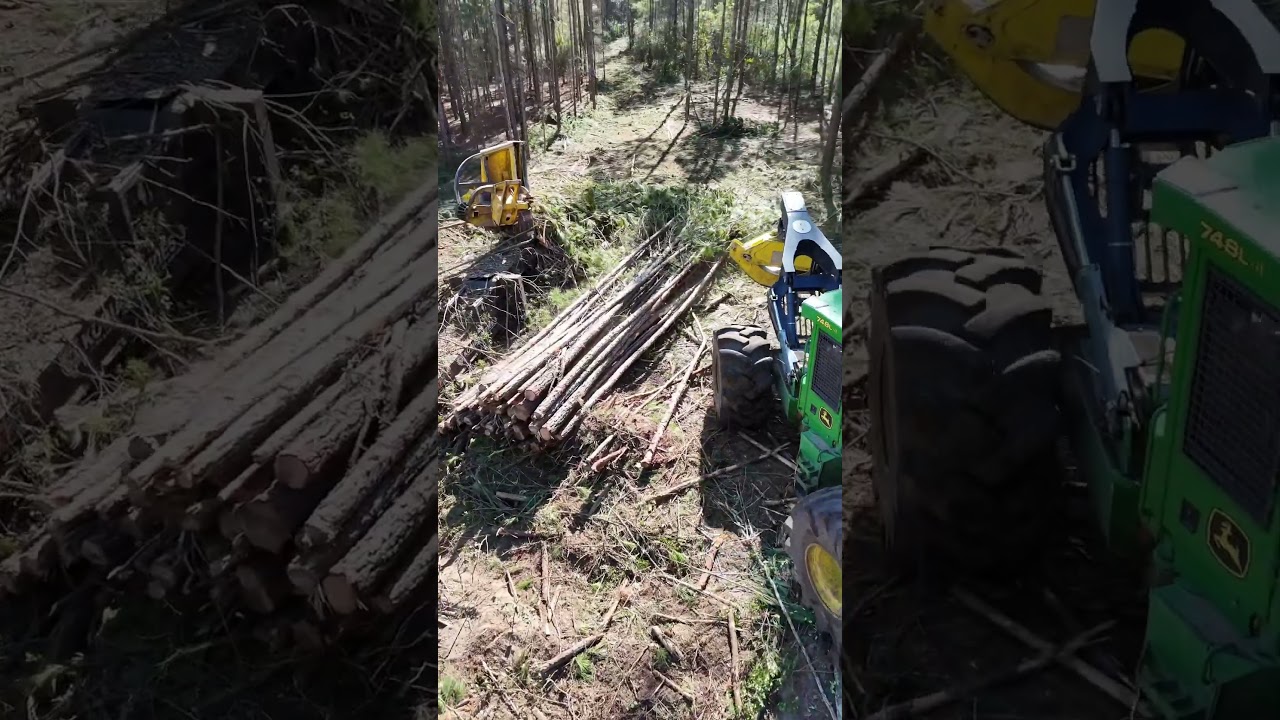 #logging #johndeere #johndeereforestry