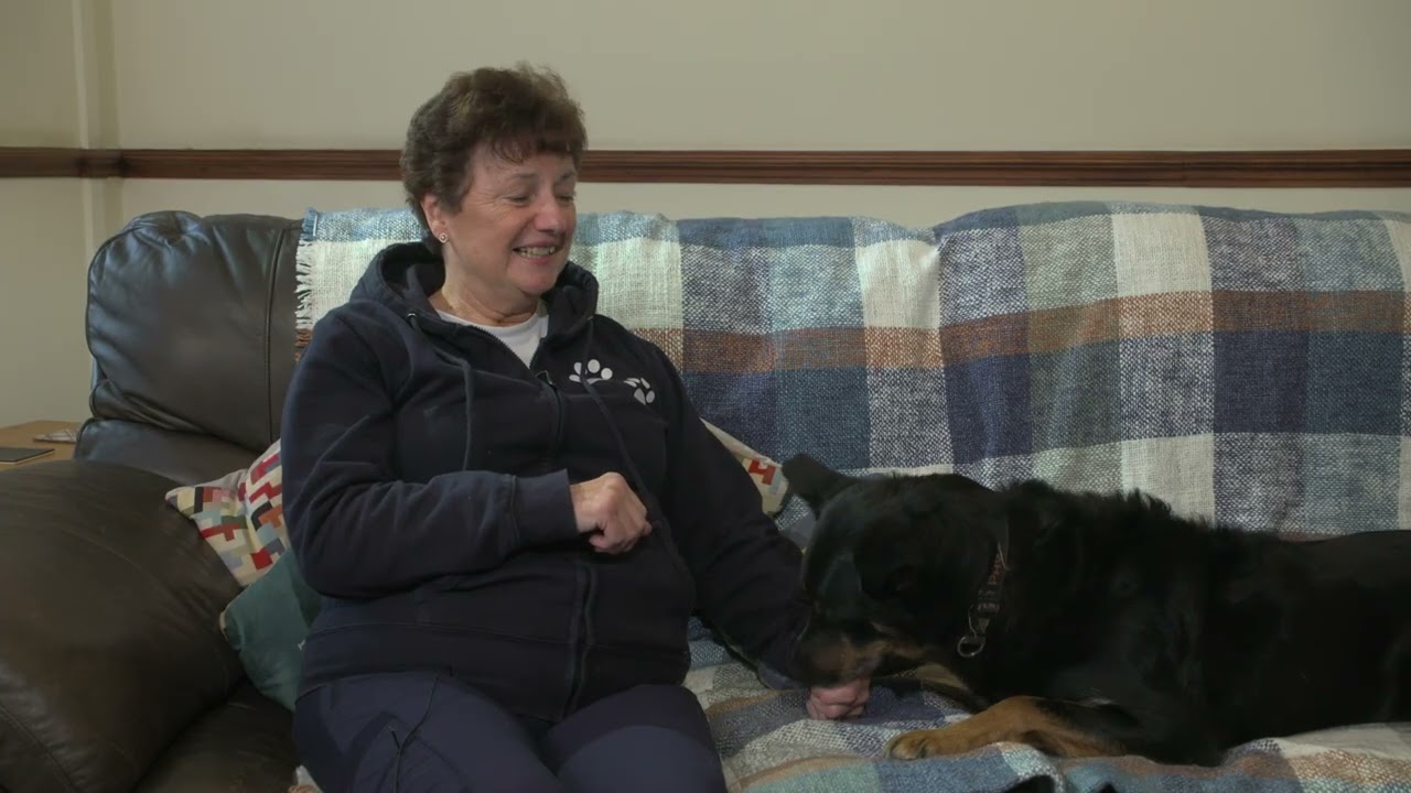 Rescue Dog Tales