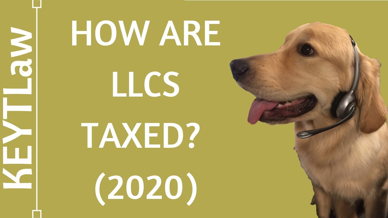 LLC Taxes Explained (2024)