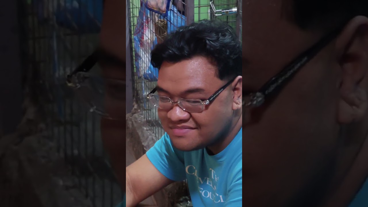 UMAPAW ANG TASA #5