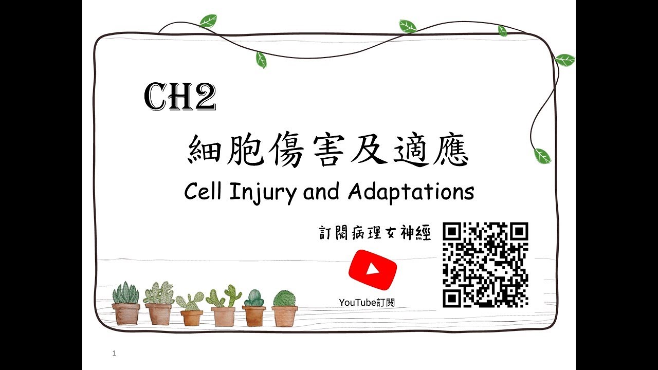 一般病理學_細胞傷害及適應