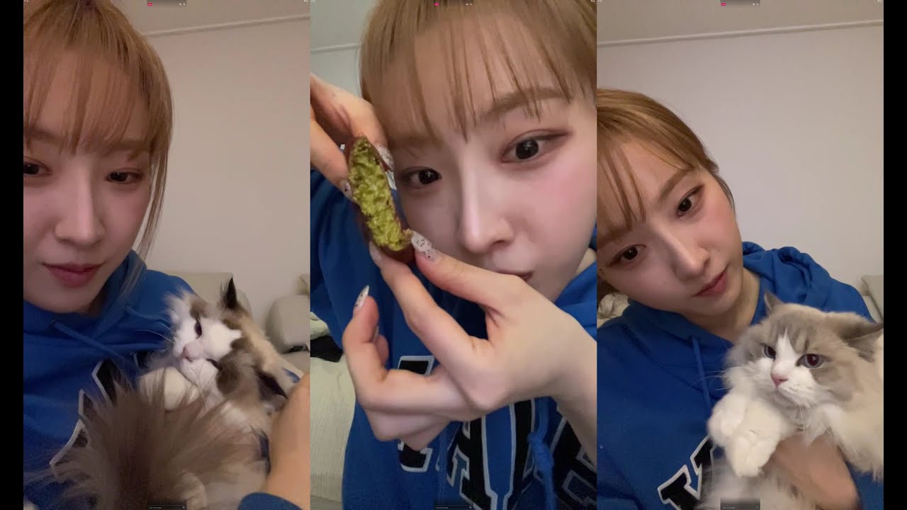 260129 슬쫀쿠 먹방 | 하슬 코스모 라이브 | HaSeul Cosmo LIVE